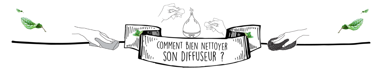 Huile Essentielle de Niaouli en Diffusion : Le Guide Complet par Olyaris